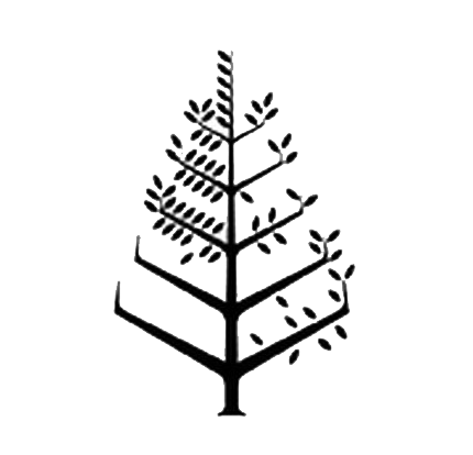 洛斯卡沃斯四季度假村 Logo